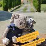 Casa Cipressino * ペーシャ