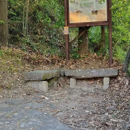 Casa Cipressino Daire