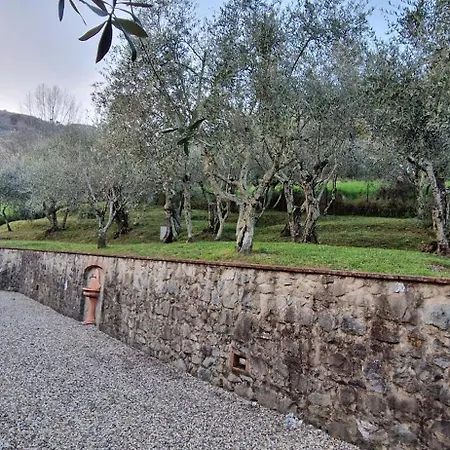 Daire Casa Cipressino *